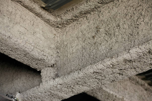 Asbestos Labrador Asbestos Removal