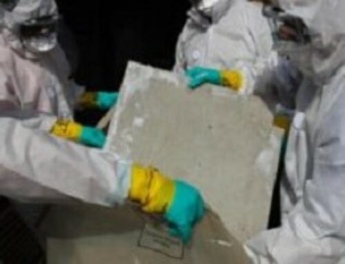 Who Organises Asbestos Disposal?