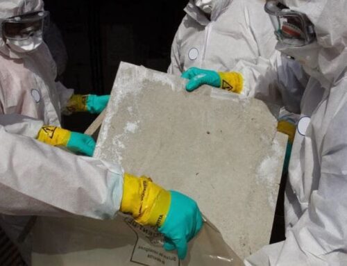 What’s the Real Cost of Asbestos Removal in Brisbane? (And How to Avoid Getting Overcharged)