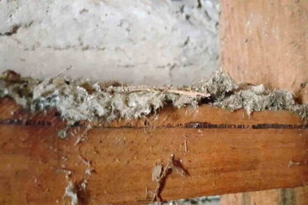 Wondering how to dispose of asbestos 800x532 1