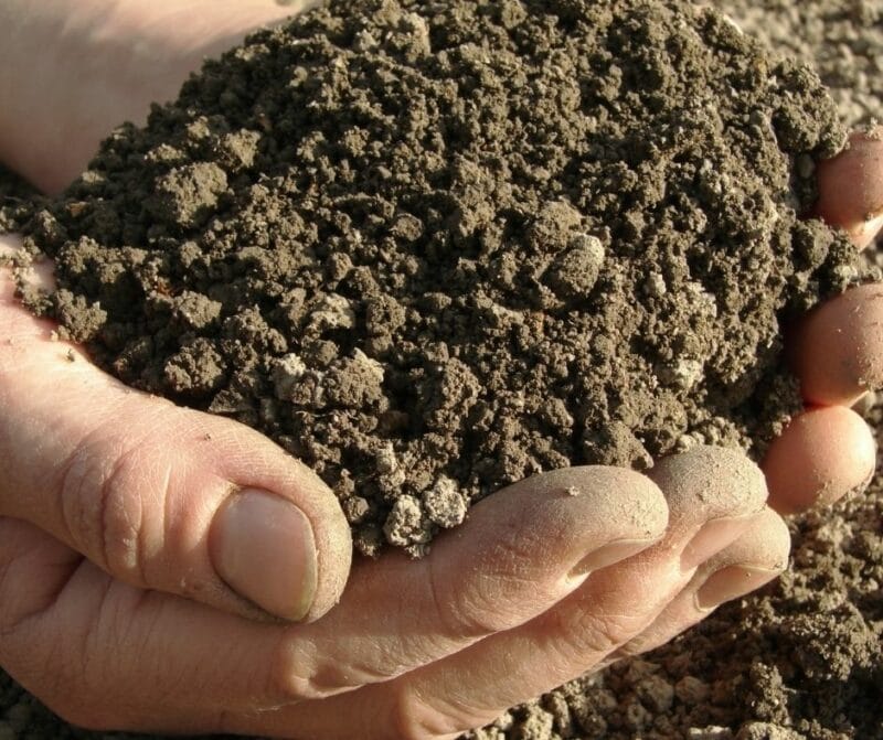 Asbestos in soil 800x671 1