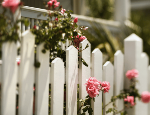 Asbestos Fence Replacement Options in Brisbane