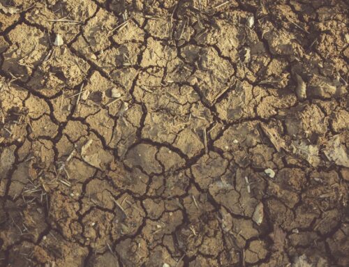 Asbestos-Contaminated Soil: What Every Brisbane Property Owner Needs to Know