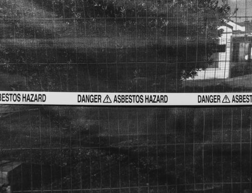 Comparing the Risks of Asbestos and Carbon Nanotubes