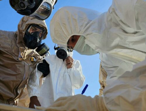 Buying or Renovating a Brisbane Home? Why Skipping an Asbestos Inspection Is a BIG Mistake
