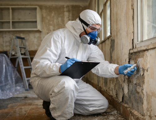 How Early Testing Can Reduce Your Asbestos Removal Costs in Brisbane